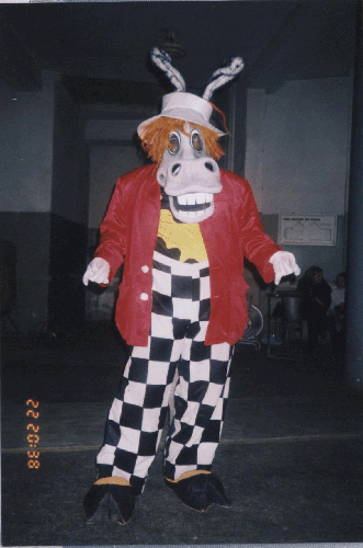 Карнавальный костюм 